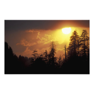 Foto EUA, Tennessee, Great Smoky Mountains NP. 2