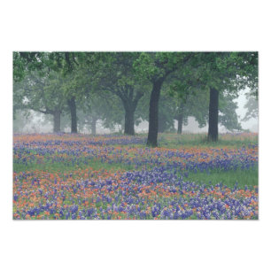Foto EUA, Texas, Texas Hill Country Campo expansivo