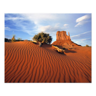 Foto EUA, Utah, Monument Valley. crio de vento