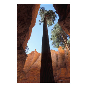 Foto EUA, Utah, Parque Nacional Bryce Canyon. Alto