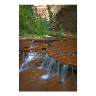 Foto EUA, Utah, Parque Nacional Zion. Cênico a partir d