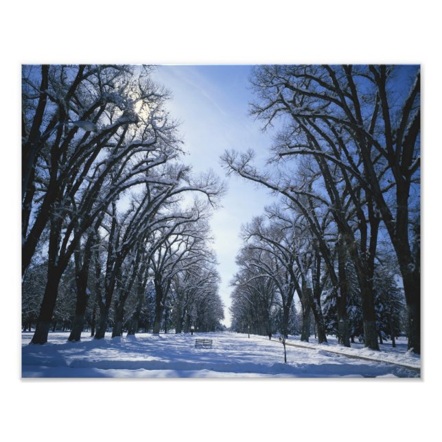 Foto EUA, Utah, Salt Lake City, Liberty Park (Frente)