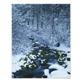 Foto EUA, Utah, Wasatch-Catch National Forest,