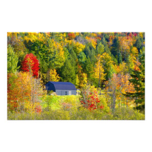 Foto EUA, Vermont. Folhagem de outono ao longo da rodov