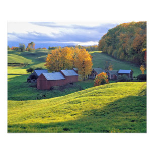 Foto EUA, Vermont, Jenne Farm. Colinas verdes onduladas