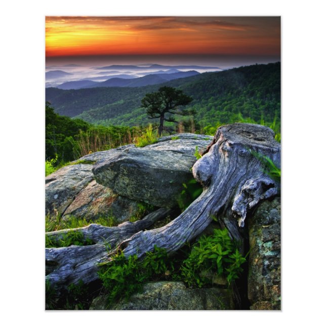 Foto EUA, Virgínia, Parque Nacional Shenandoah. (Frente)