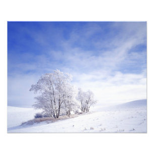 Foto EUA, Washington, Área de Palouse, Preto Geado