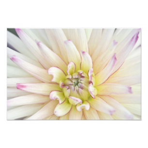 Foto EUA, Washington, Bellevue, Bellevue Botânico 2