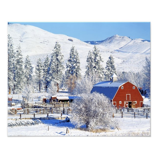 Foto EUA, Washington, Methow Valley, Celeiros em (Frente)