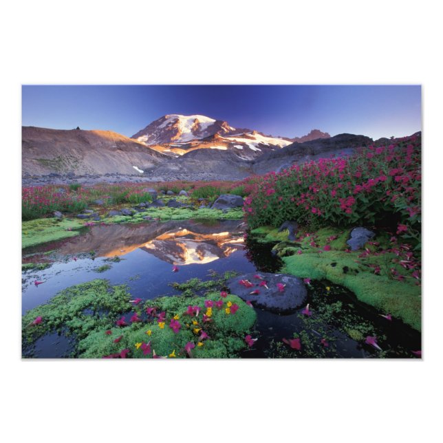 Foto EUA, Washington, Mt. Rainier NP, nascer do sol, (Frente)