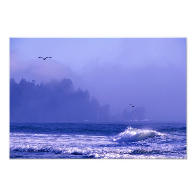 Foto EUA, Washington, Parque Nacional Olimpiadas. Névoa (Frente)