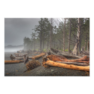 Foto EUA, Washington, Parque Nacional Olímpico, Rialto