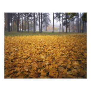 Foto EUA, Washington, Spokane, Manito Park, Outono