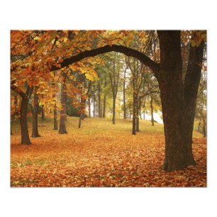 Foto EUA, Washington, Spokane, Manito Park, Outono 2
