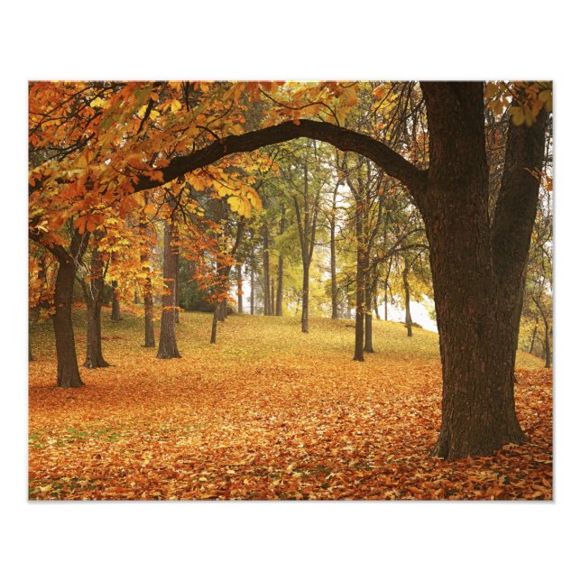 Foto EUA, Washington, Spokane, Manito Park, Outono 2 (Frente)