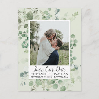 Foto Eucalyptus Verde Salva Os Cartões Postais De