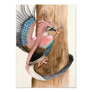 Foto Eurasian Jay Dragon