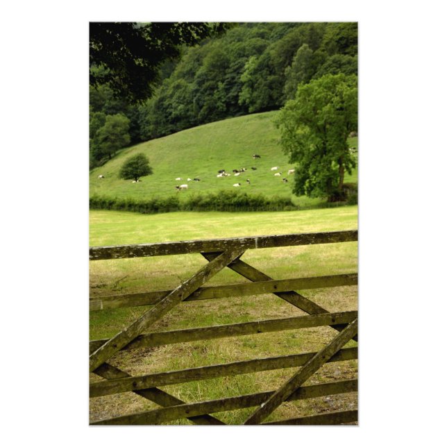 Foto Europa, Inglaterra, Lake District, Cumbria, (Frente)