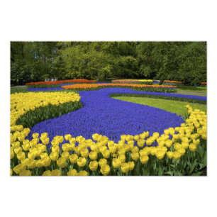 Foto Europa, Países Baixos, Holanda, Lisse, Keukenhof