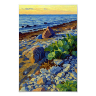 Foto Evening light on the coast of Vormsi