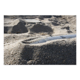 Foto Exibição estática de uma shell de equipamento