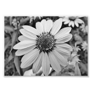 Foto Expressões 5x7 Impressão fotográfico