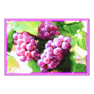 Foto "Fábrica de Frutas de Uvas". Compre agora