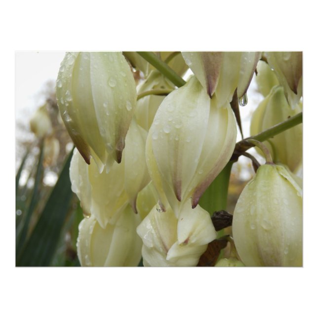 Foto Fábrica de Yucca (Frente)