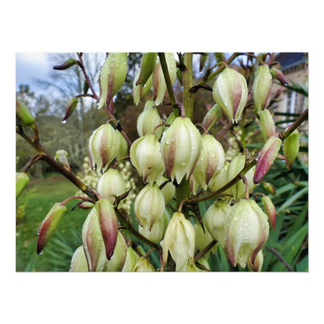 Foto Fábrica de Yucca (Frente)