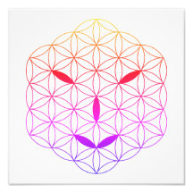 Face sagrada - Arturiano 02, CF-Tr.