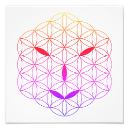 Foto Face sagrada - Arturiano 02, CF-Tr.