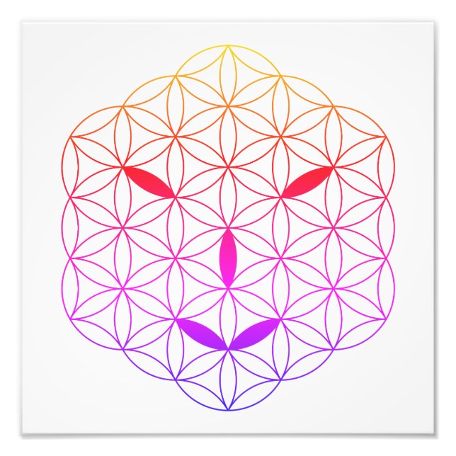 Foto Face sagrada - Arturiano 02, CF-Tr. (Frente)