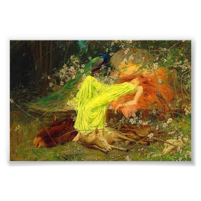 Foto Fada — Arthur Wardle (Frente)