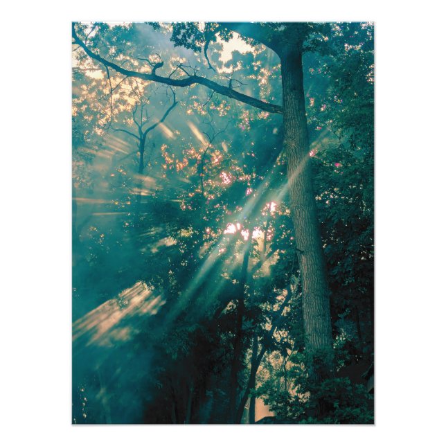 Foto Fadas na Floresta (Frente)