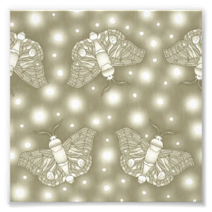 Foto Fairy Moths