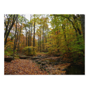 Foto Fall Creek em Laurel Hill State Park na Pensilvâni