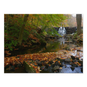 Foto Fall Waterfall e Creek Pennsylvania Nature Photo