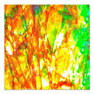Foto Falln Sunset Ammolite
