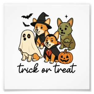 Foto fantasia de Halloween de corgi