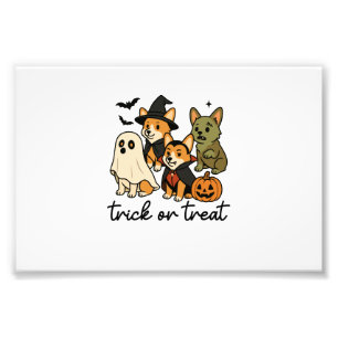 Foto fantasia de Halloween para corgi