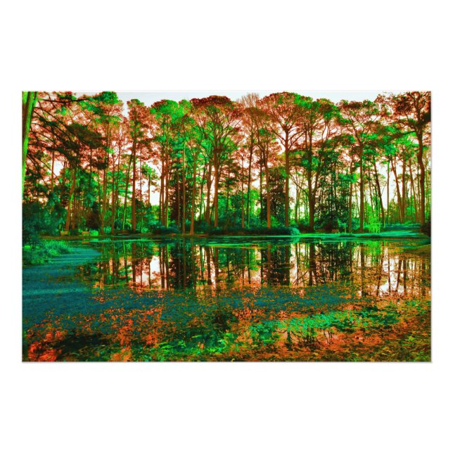 Foto Fantasy Forest por Shirley Taylor (Frente)