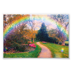 Foto Fantasy Rainbow Garden