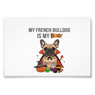 Foto Fardo de Halloween para Bulldog Francês Meu Bulldo