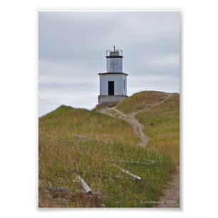 Foto Farol de ponto de bovinos 5X7 na Ilha San Juan, WA