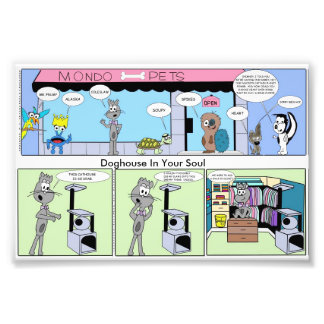 Foto Fashion-Forward Feline