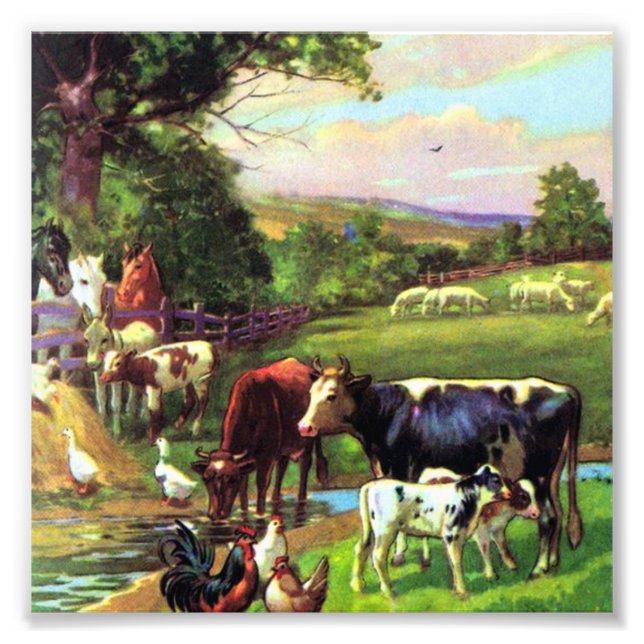 Foto Fazenda Vintage (Frente)