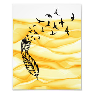 Foto Feather Birds Shadow Art