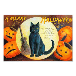 Foto Feliz Halloween Cat