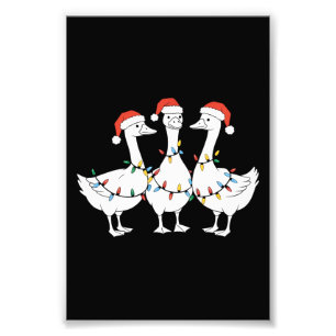 Foto Feliz Natal Chapéu de Papai Noel Patos Férias de N