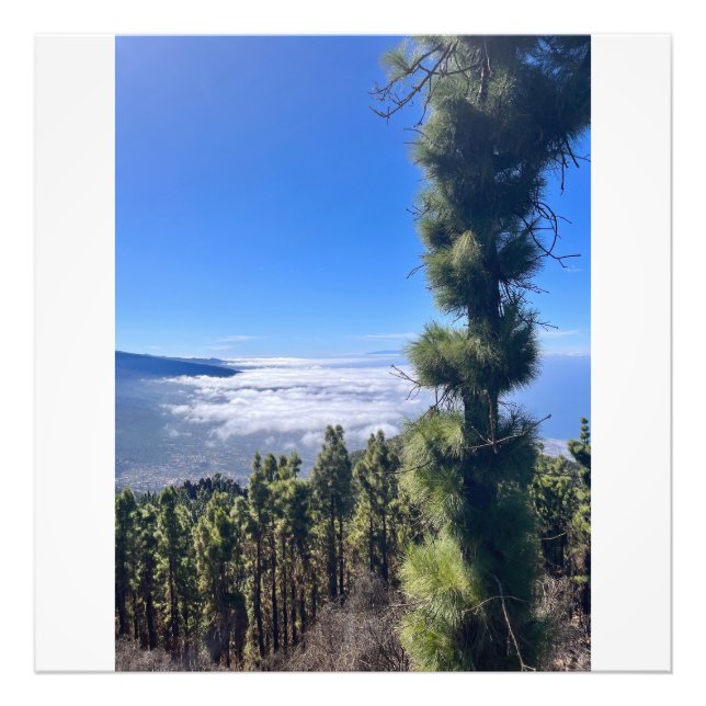 Foto Feliz Tenerife. (Frente)
